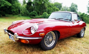 Berk Autotransporte Berk Autotransporte